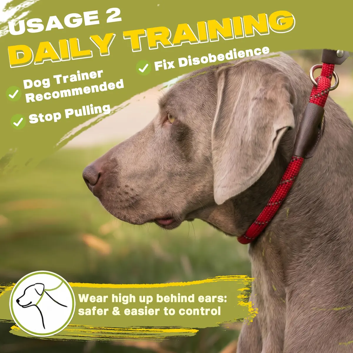 Fida Dog Leash 4 ft x 1/2" | Anti-pull Slip Lead for Large & Medium Dogs - view 5