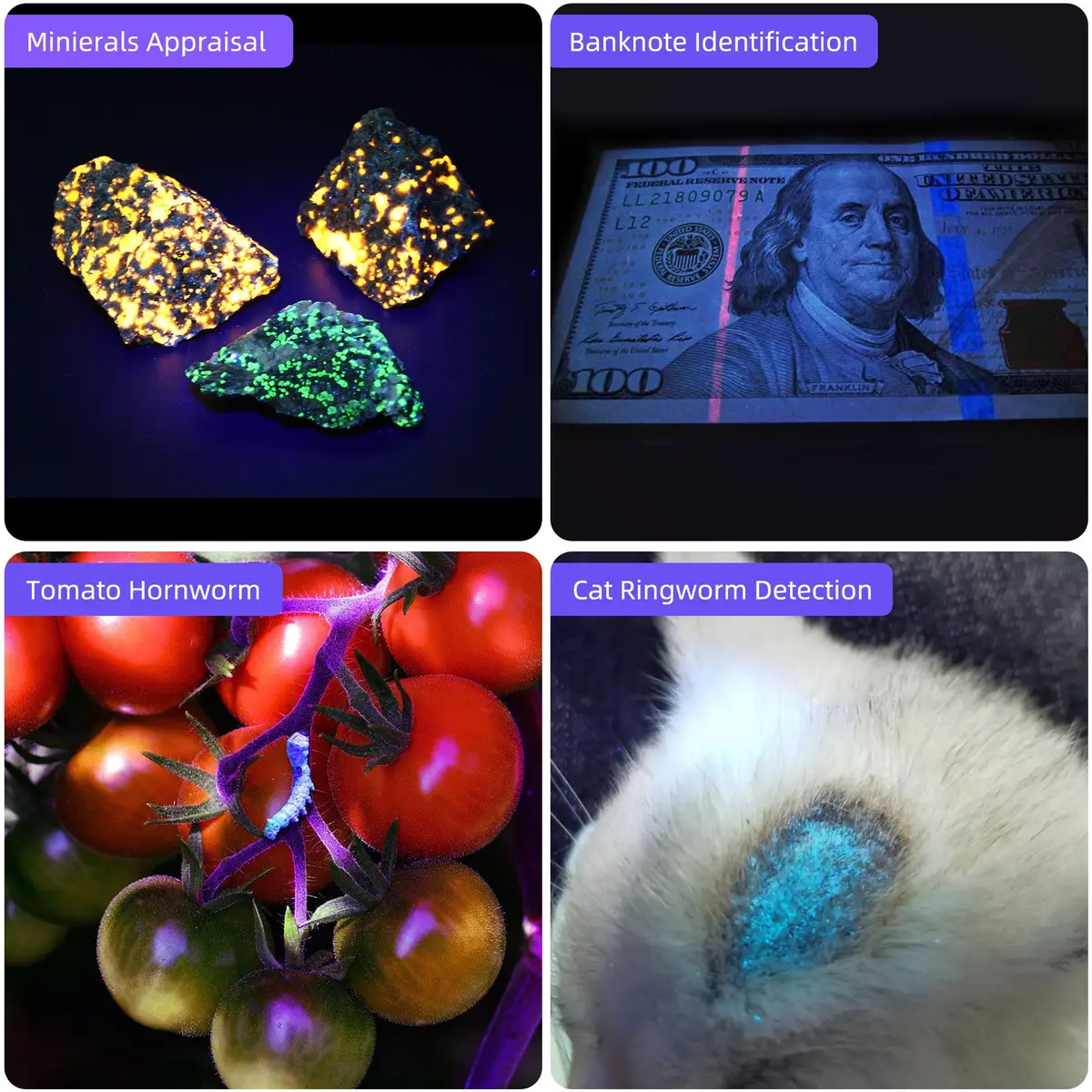 DARKBEAM UV Flashlight 365nm & 395nm Black Light 2 Pack | Dual Wavelength Detection - view 8