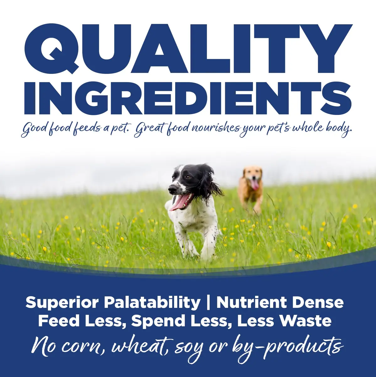 NutriSource Trout & Rice Dog Food 12LB | Easy Digest, High-Quality Protein - view 4