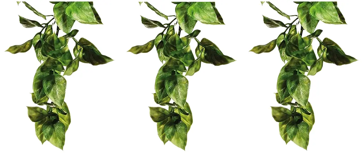 Exo Terra Plastic Terrarium Plant, Large, Amapallo (Pack of 3) | Realistic Reptile Habitat Decor - main product image