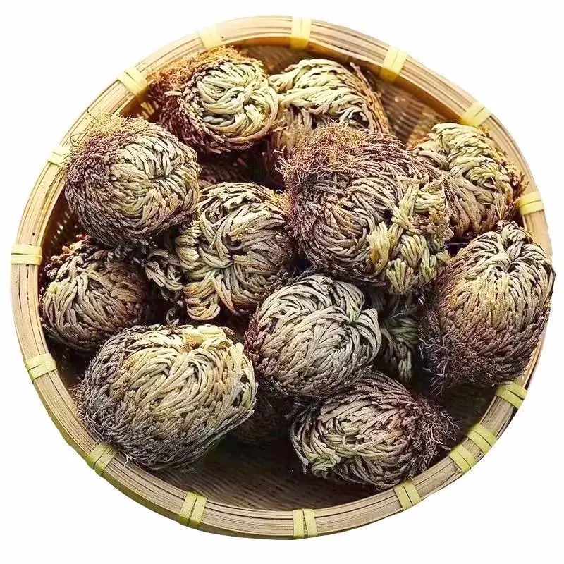 EquSym Rose of Jericho Dried Plants 17 Pack (0.2 lb / 0.09 kg) | Spiritual Purification & Home Decor - view 2