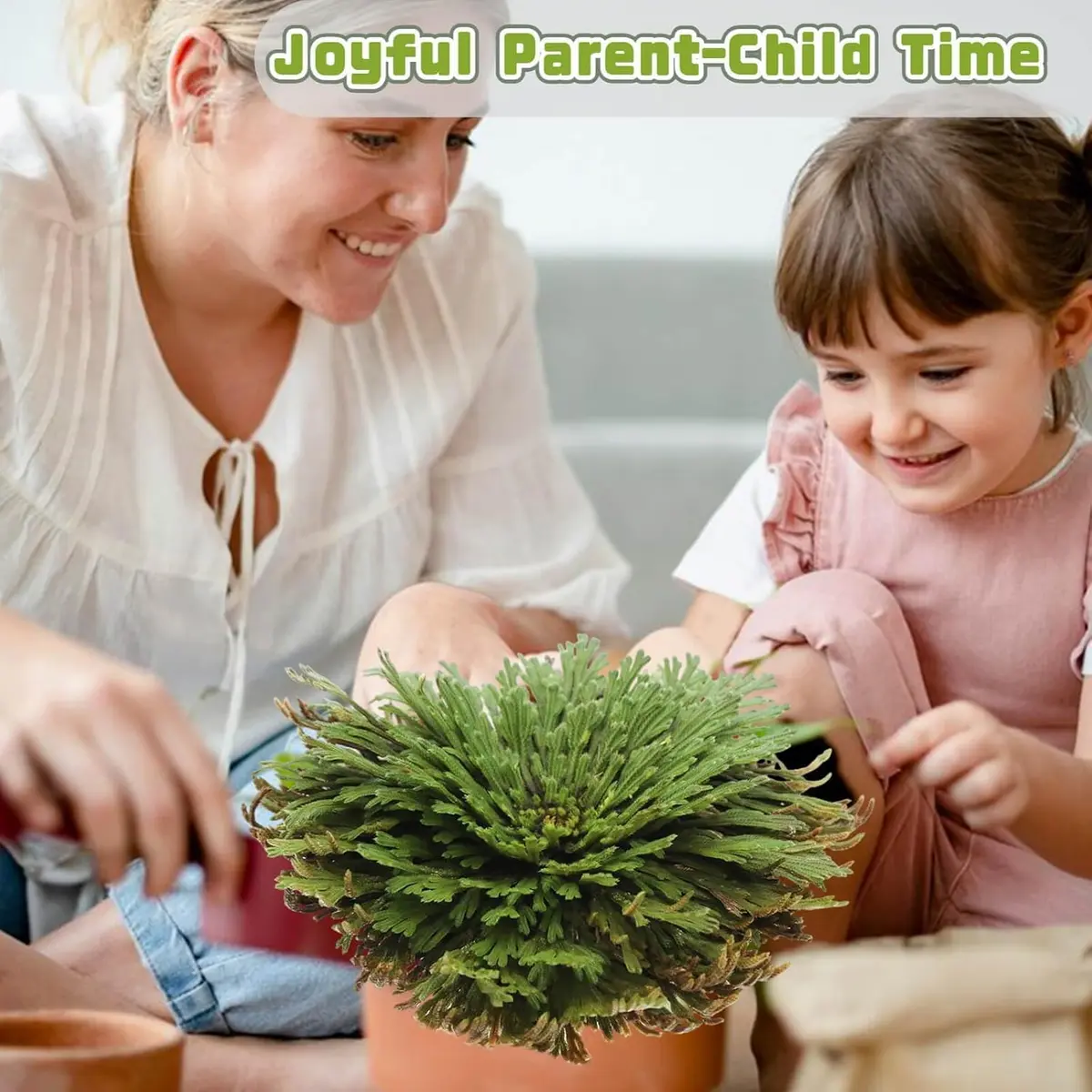 EquSym Rose of Jericho Dried Plants 17 Pack (0.2 lb / 0.09 kg) | Spiritual Purification & Home Decor - view 10