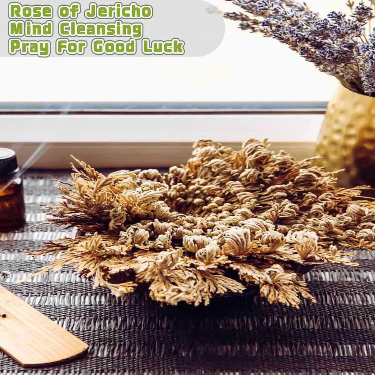 EquSym Rose of Jericho Dried Plants 17 Pack (0.2 lb / 0.09 kg) | Spiritual Purification & Home Decor - view 11