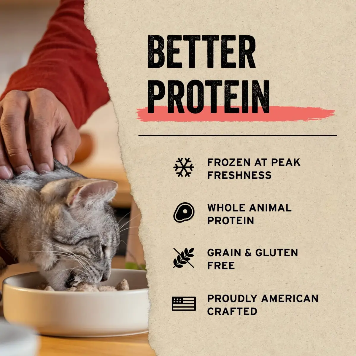Vital Essentials Freeze Dried Chicken Hearts Cat Treats 0.8 oz (Pack of 6) | Single Ingredient Protein Boost - view 4