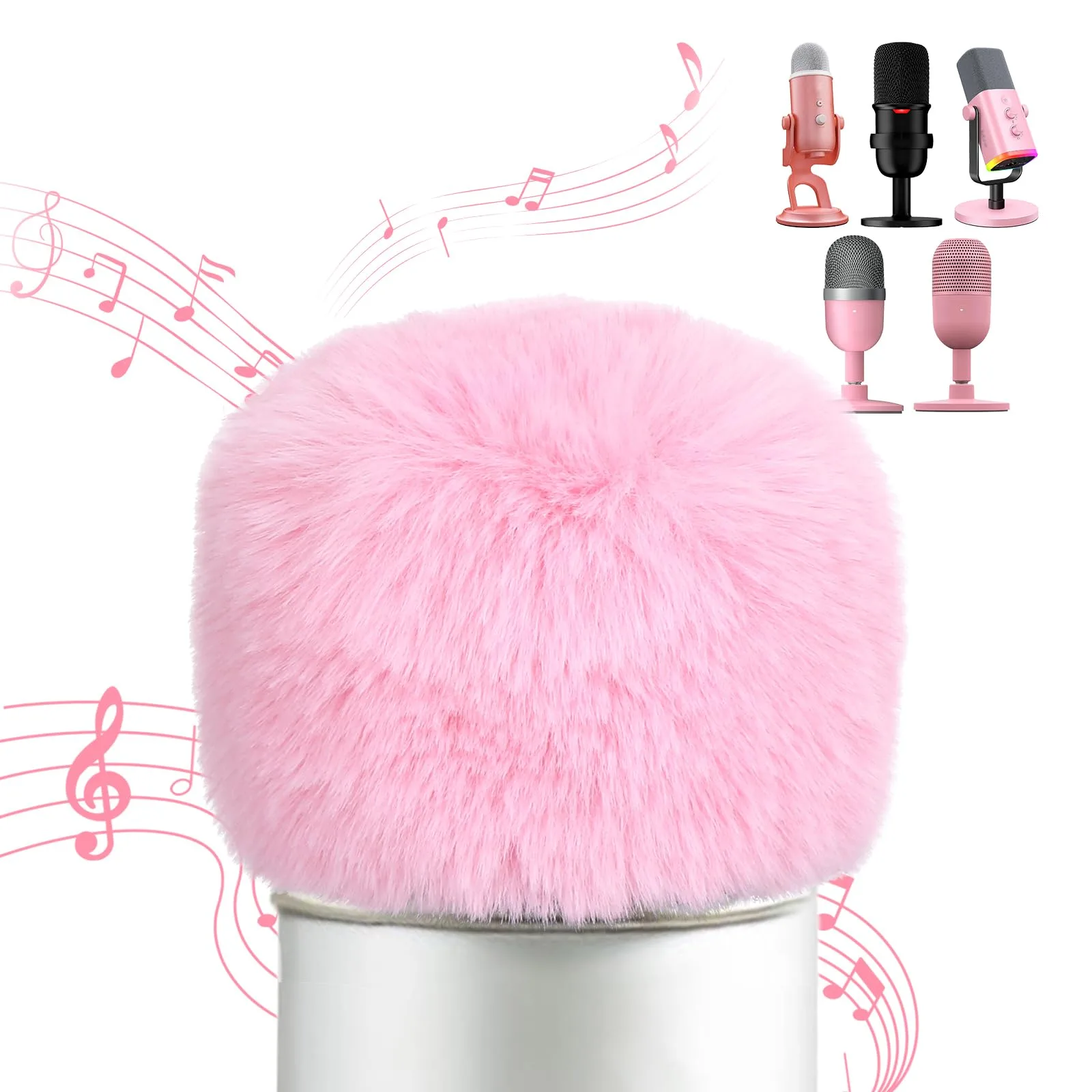 Microphones & Accessories
