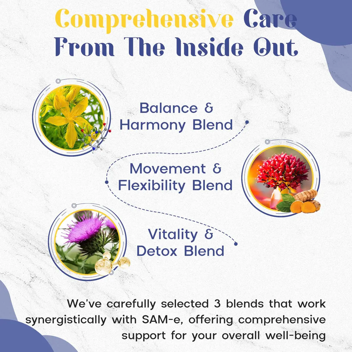 Enerlix SAM-e Supplement with CoQ10 & 5-HTP | 60 Tablets | Enteric Coated for Better Absorption - view 3