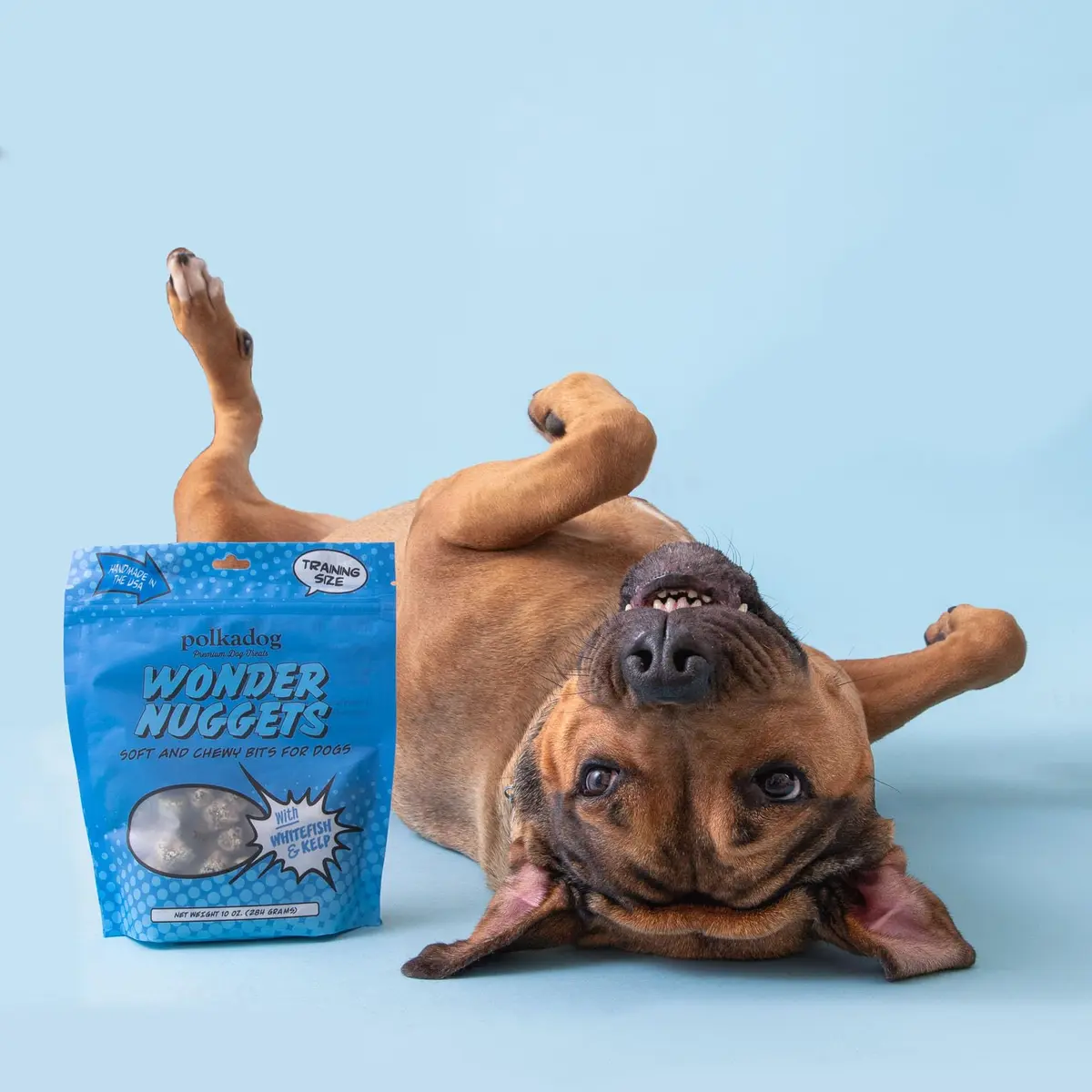 Polkadog Whitefish & Kelp Wonder Nuggets | Soft & Chewy Dog Treats, 10oz - view 5