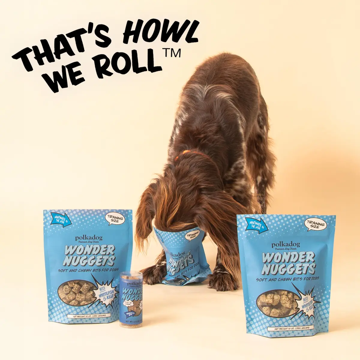 Polkadog Whitefish & Kelp Wonder Nuggets | Soft & Chewy Dog Treats, 10oz - view 7