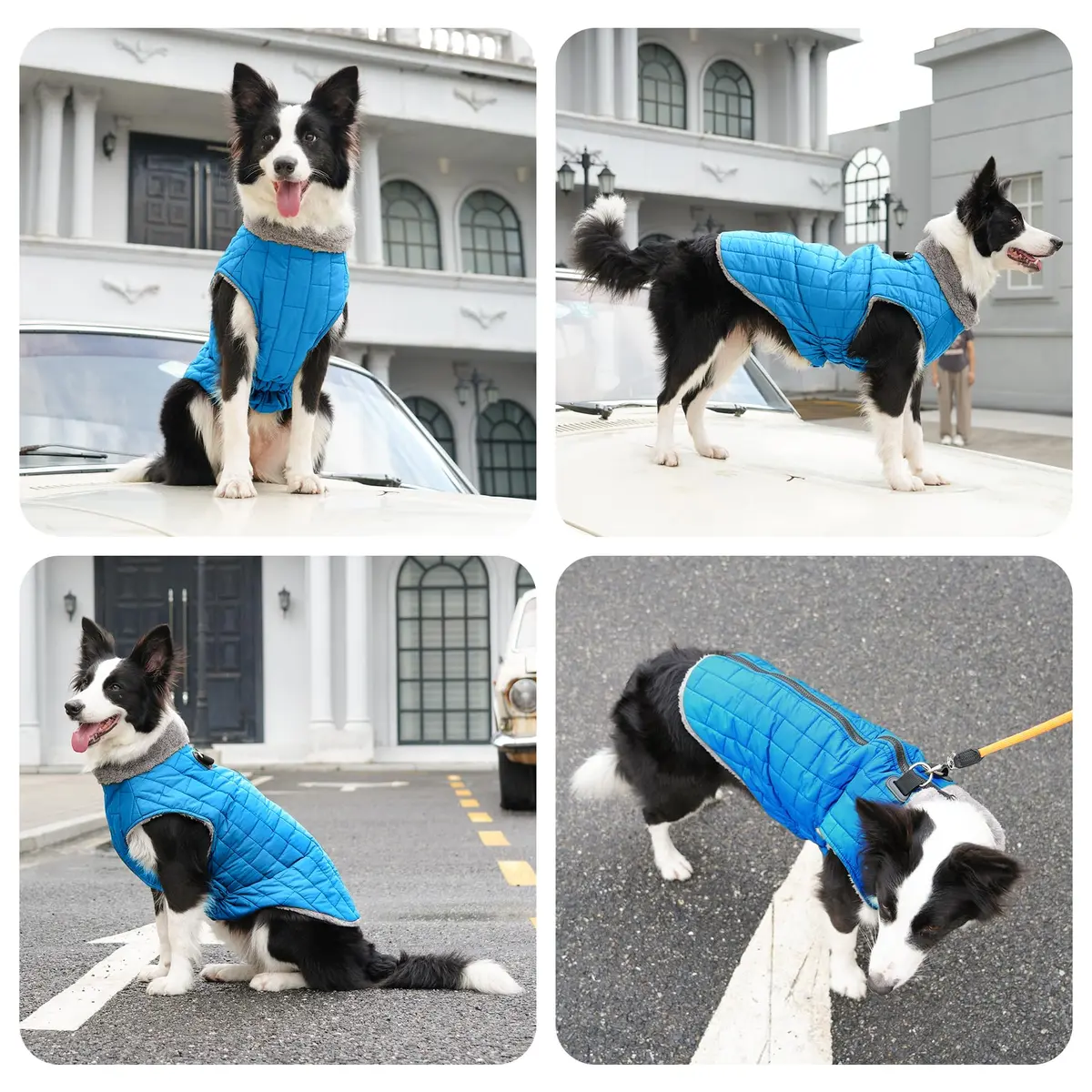 JoyDaog Blue Fleece Dog Jacket with Harness for Small Dogs, Size S (12.5"-15.9" Chest) | Winter Warmth & Windproof Protection - view 7