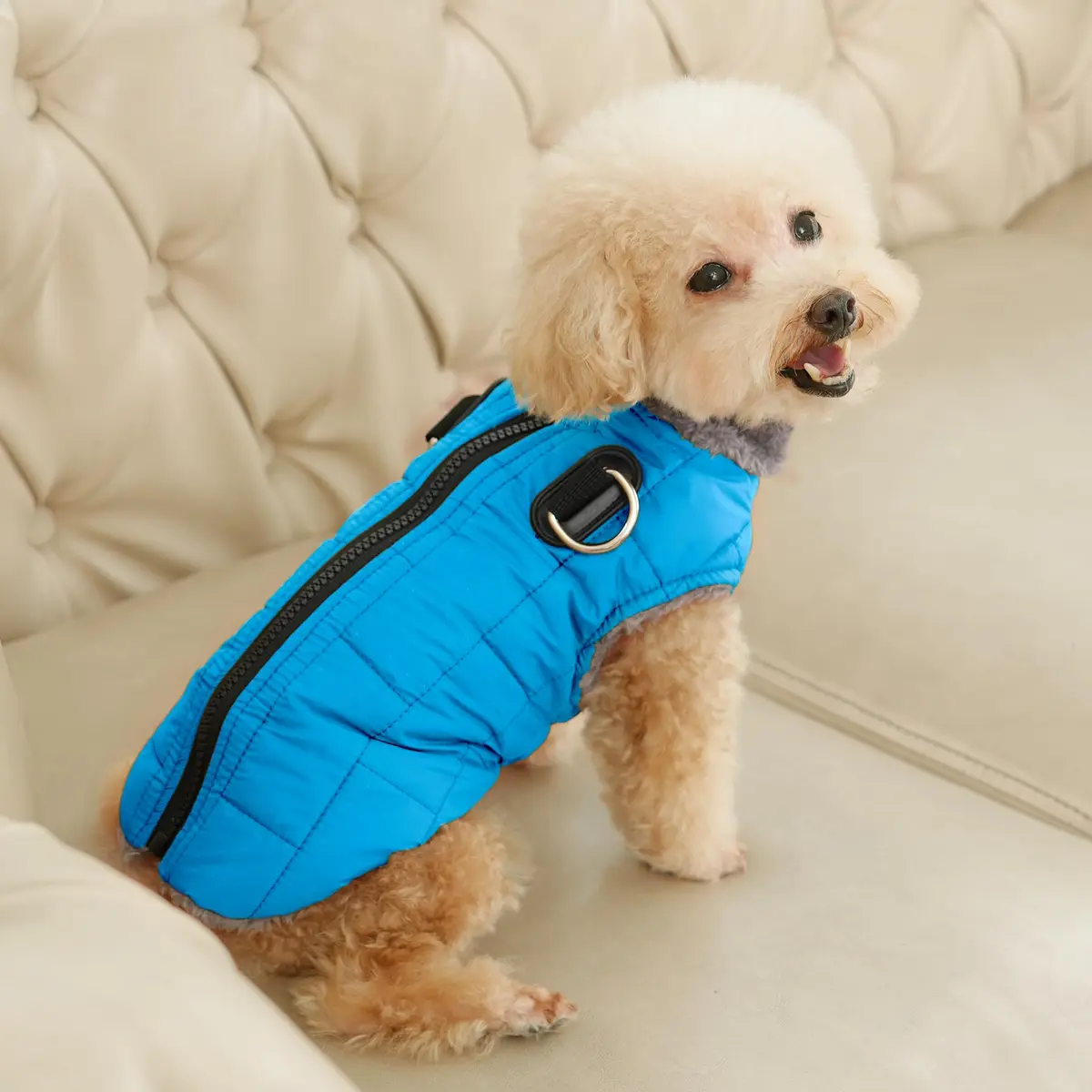 JoyDaog Blue Fleece Dog Jacket with Harness for Small Dogs, Size S (12.5"-15.9" Chest) | Winter Warmth & Windproof Protection - view 8
