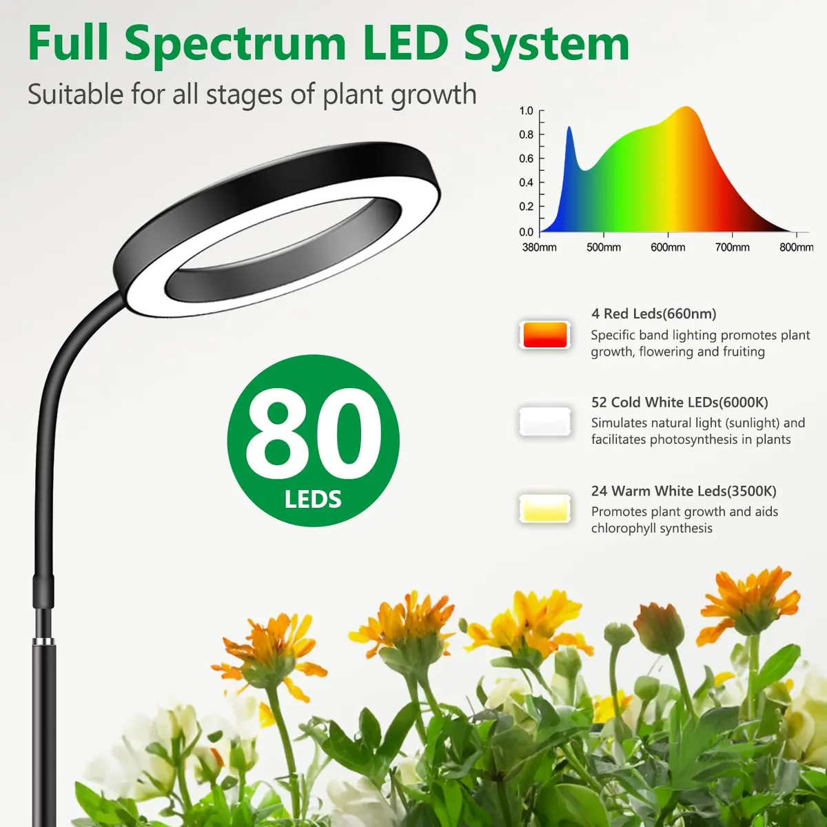 Aumtrly Full Spectrum LED Grow Light with 68-inch Adjustable Stand | 20W LED Plant Lamp - view 3