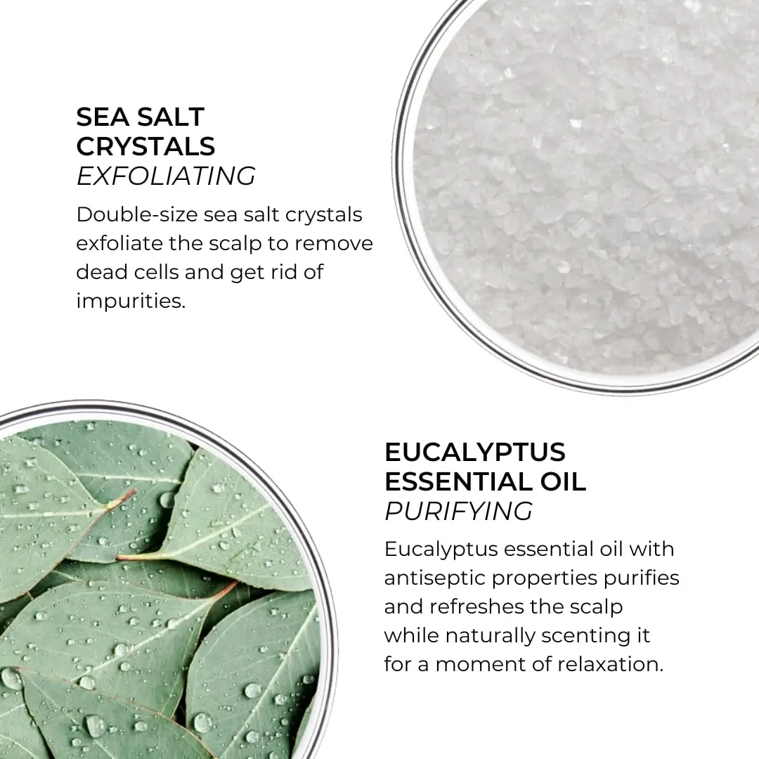 PHYTO Scalp Solutions Purifying Scrub - Exfoliating Sea Salt & Eucalyptus Deep Cleanse - Removes Buildup, Silicone & Sulfate-Free - For Oily Scalp - 7.05 oz - view 2