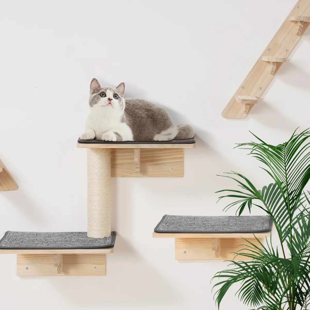 VEVOR Wall Mounted Cat Shelves Set of 9 | Supports 40 lbs, Climbing & Resting - view 8