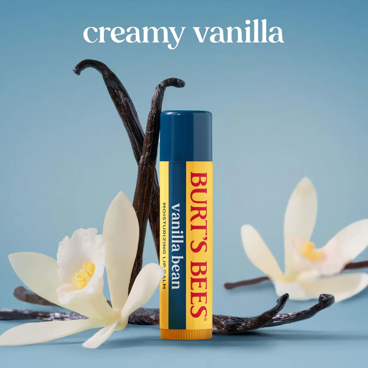 Burt's Bees Lip Balm, Vanilla Bean, 0.15 oz | Natural Conditioning Moisturizer - view 3