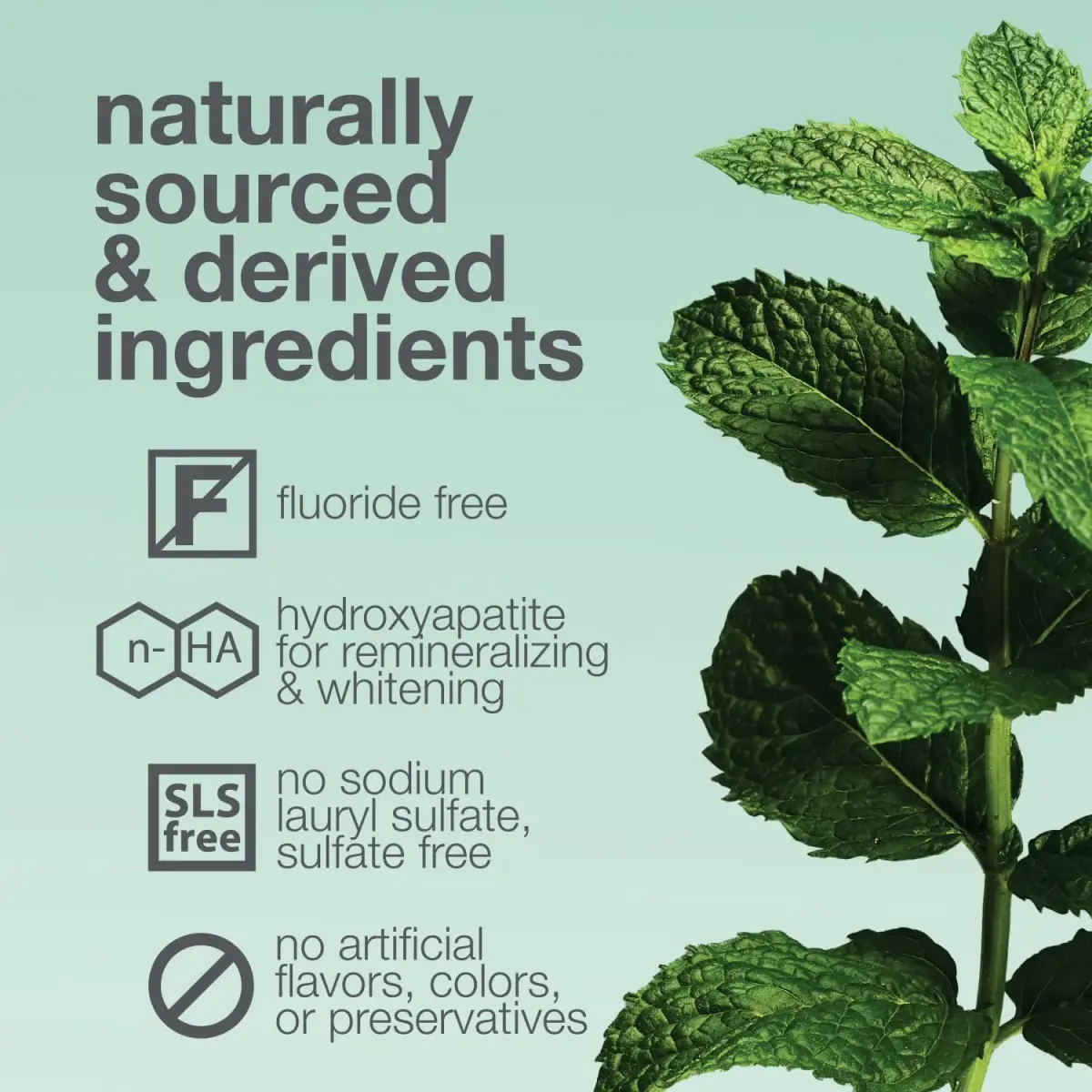 Davids Nano Hydroxyapatite Toothpaste Fluoride Free Mild Peppermint 4oz (113g) | EWG Verified & USA Origin Ingredients - view 5