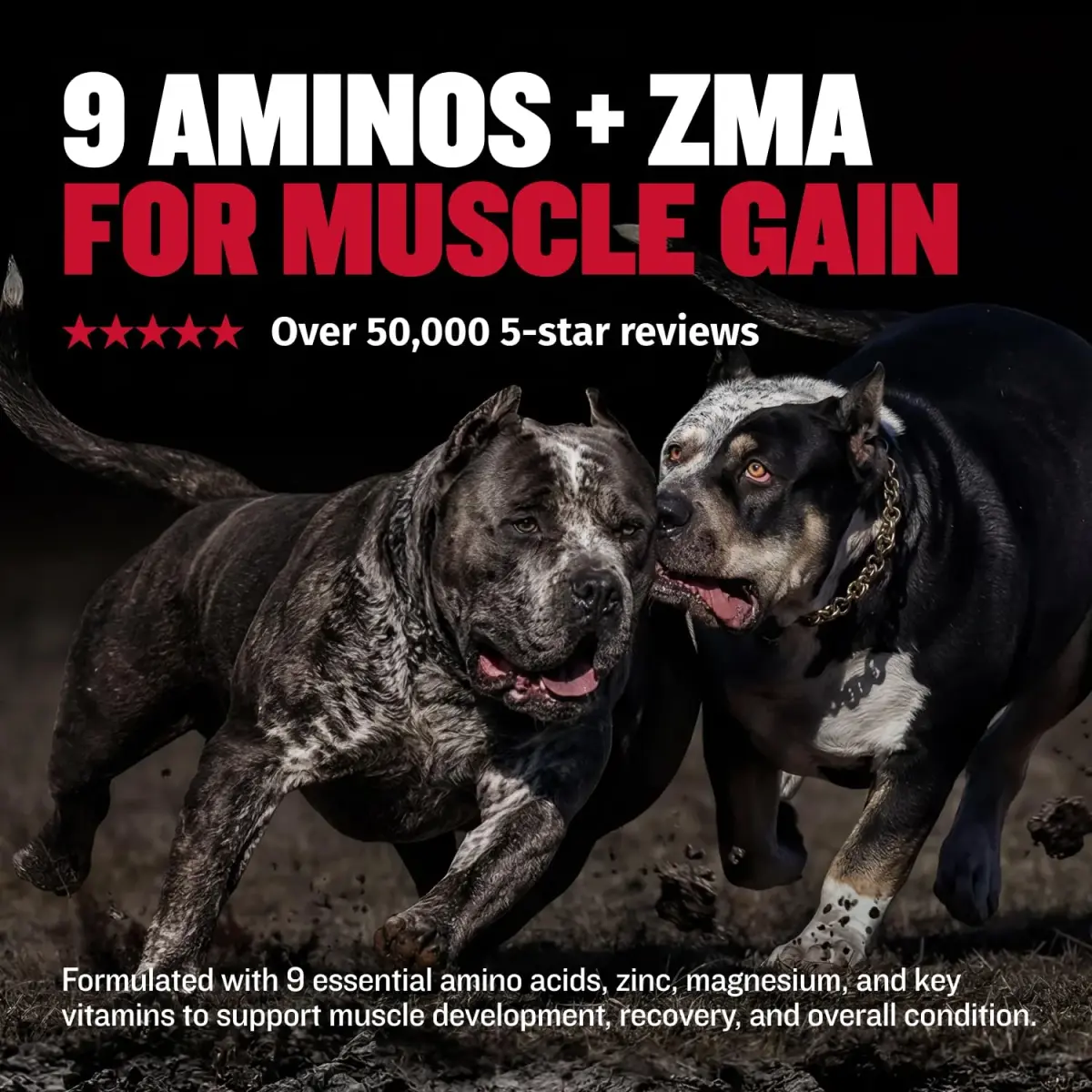 Bully Max 2-in-1 Muscle Builder Chewable Tablets for Dogs - 60 Tabs (3 Bottles) | Vet-Recommended Canine Multivitamin for Muscle Gain & Growth - view 5