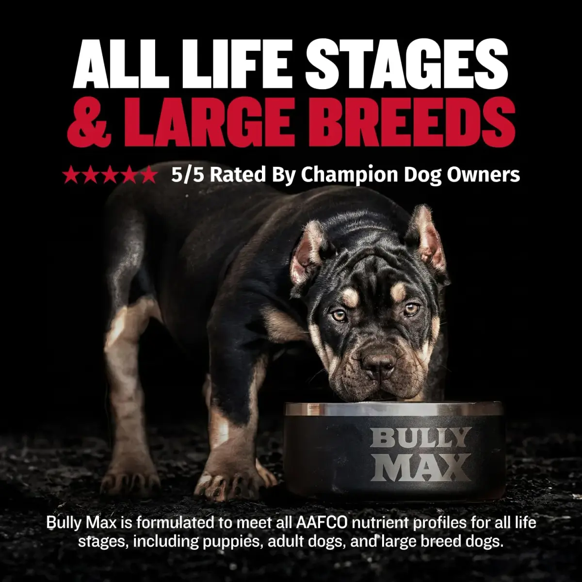 Bully Max 2-in-1 Muscle Builder Chewable Tablets for Dogs - 60 Tabs (3 Bottles) | Vet-Recommended Canine Multivitamin for Muscle Gain & Growth - view 4