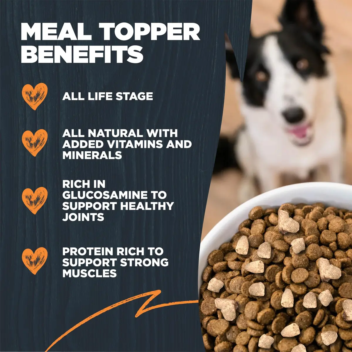 Blackwood Freeze Dried Dog Food Topper, Chicken Recipe, 8 oz | High Protein, Supports Joints, Versatile Use - view 3
