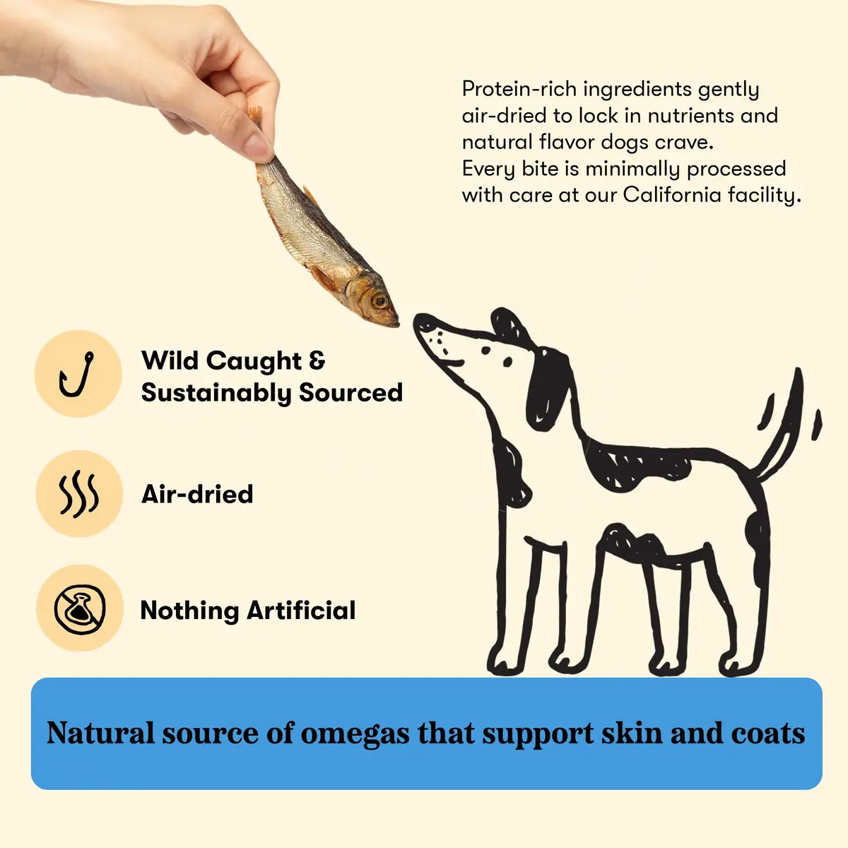 PLATO Single Ingredient Baltic Sprat Dog Treats 7.5 oz | Omega-Rich, Air-Dried Fish for Skin & Coat - view 4