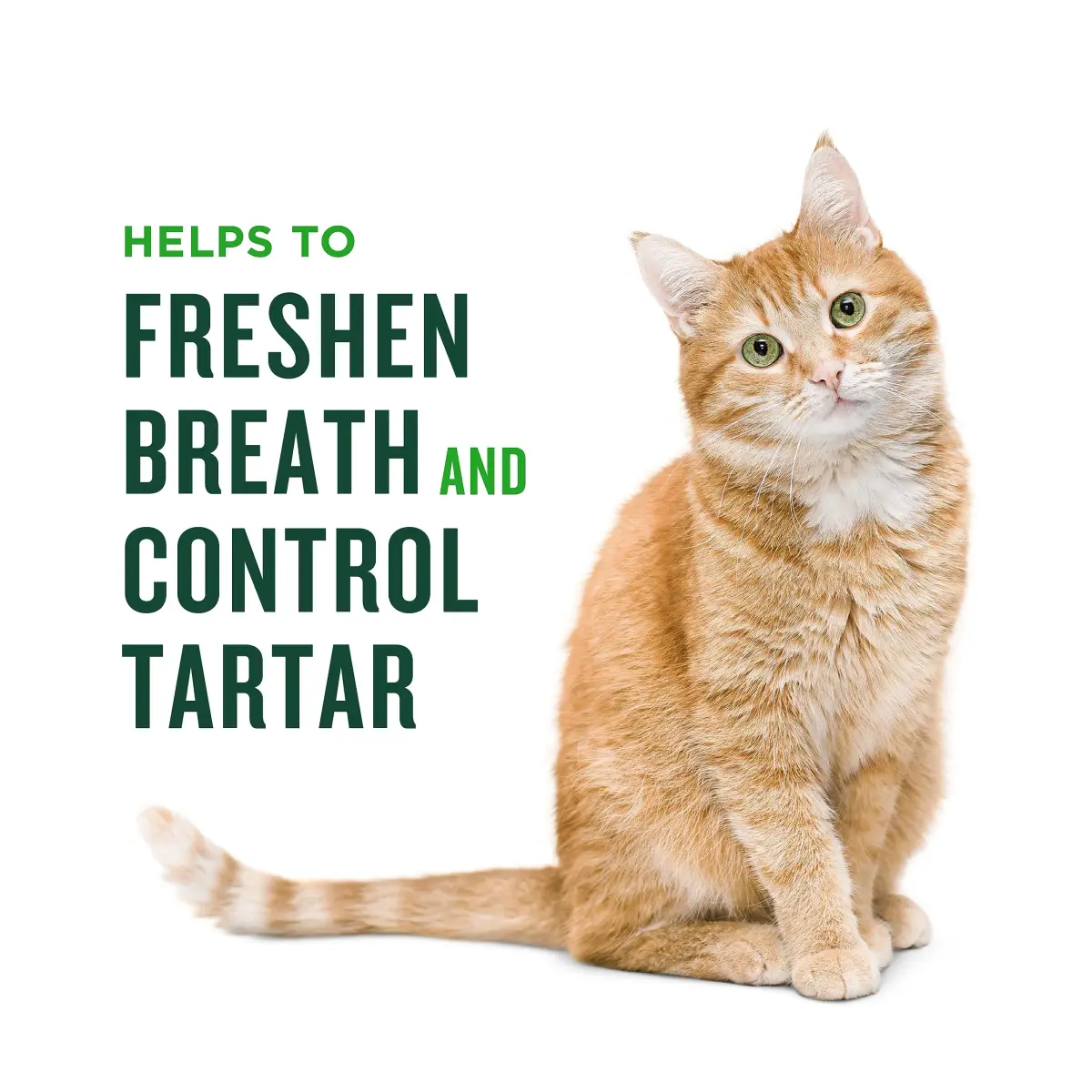 Minties Dental Treats for Cats, Chicken Flavored Cat Dental Treats, 10oz (283g) | Freshens Breath & Controls Tartar - view 4