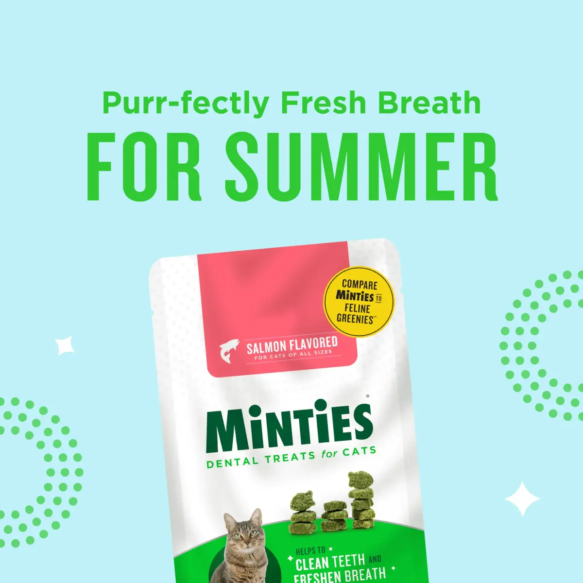 Minties Dental Treats for Cats, Salmon Flavored Cat Dental Treats, Freshens Breath and Controls Tartar, 283g (10 oz) - view 3