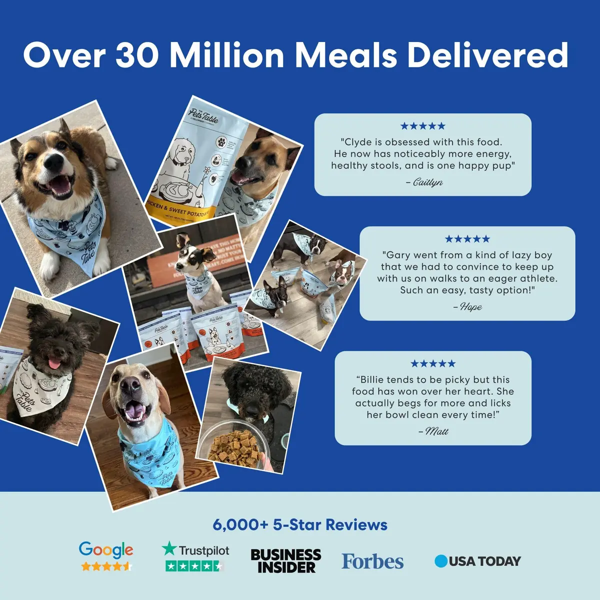 The Pets Table Air Dried Dog Food, Chicken & Sweet Potato | All Life Stages, 1 lb (16 Oz) - view 7