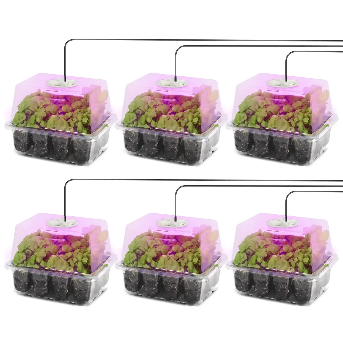 MIXC Seed Starter Kit with Grow Light & Humidity Dome | Indoor Plant Germination Set - main product image