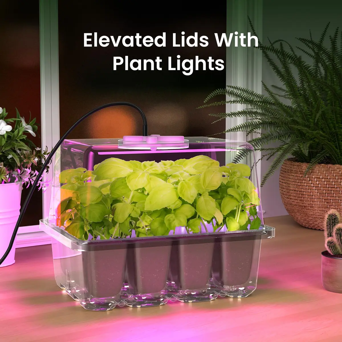 MIXC Seed Starter Kit with Grow Light & Humidity Dome | Indoor Plant Germination Set - view 8