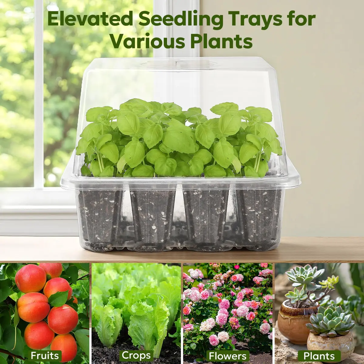 MIXC 4 Pack Seed Starter Kit with Grow Light, Humidity Dome, Transparent | Indoor Plant Germination - view 10