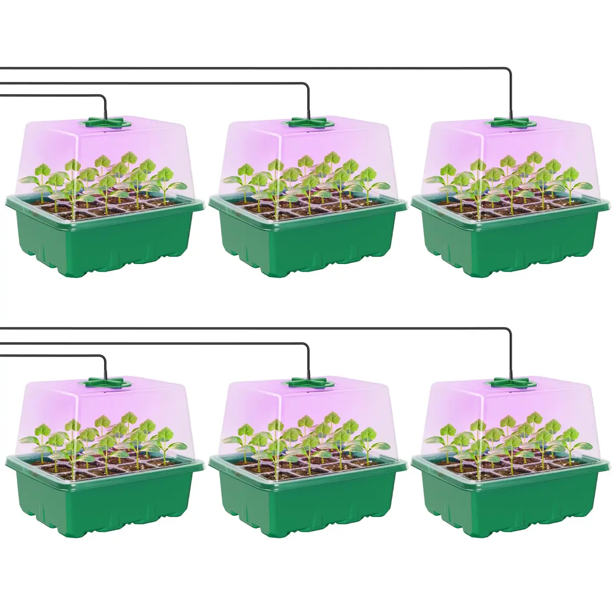 MIXC Green 6 Pack Seed Starter Kit with Grow Light & Humidity Dome | Indoor & Outdoor Plant Germination - main product image