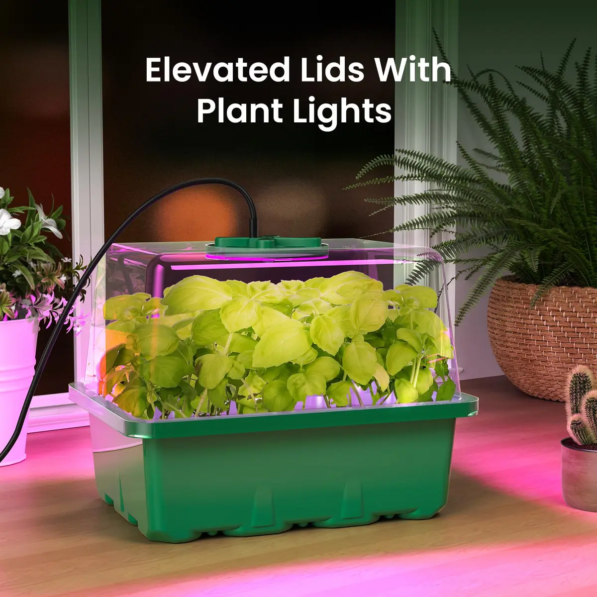MIXC Green 6 Pack Seed Starter Kit with Grow Light & Humidity Dome | Indoor & Outdoor Plant Germination - view 6
