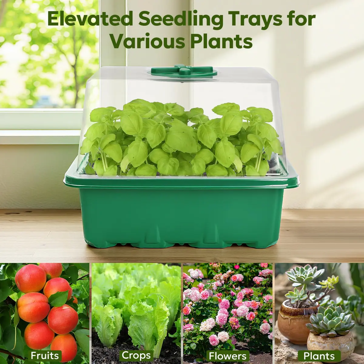 MIXC Green 6 Pack Seed Starter Kit with Grow Light & Humidity Dome | Indoor & Outdoor Plant Germination - view 10