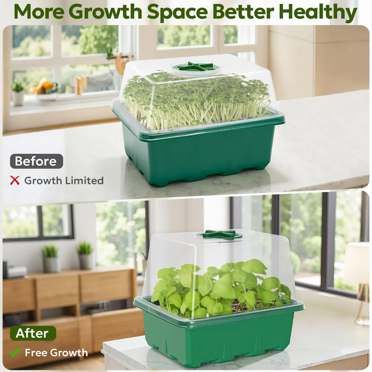 MIXC Green 6 Pack Seed Starter Kit with Grow Light & Humidity Dome | Indoor & Outdoor Plant Germination - view 4