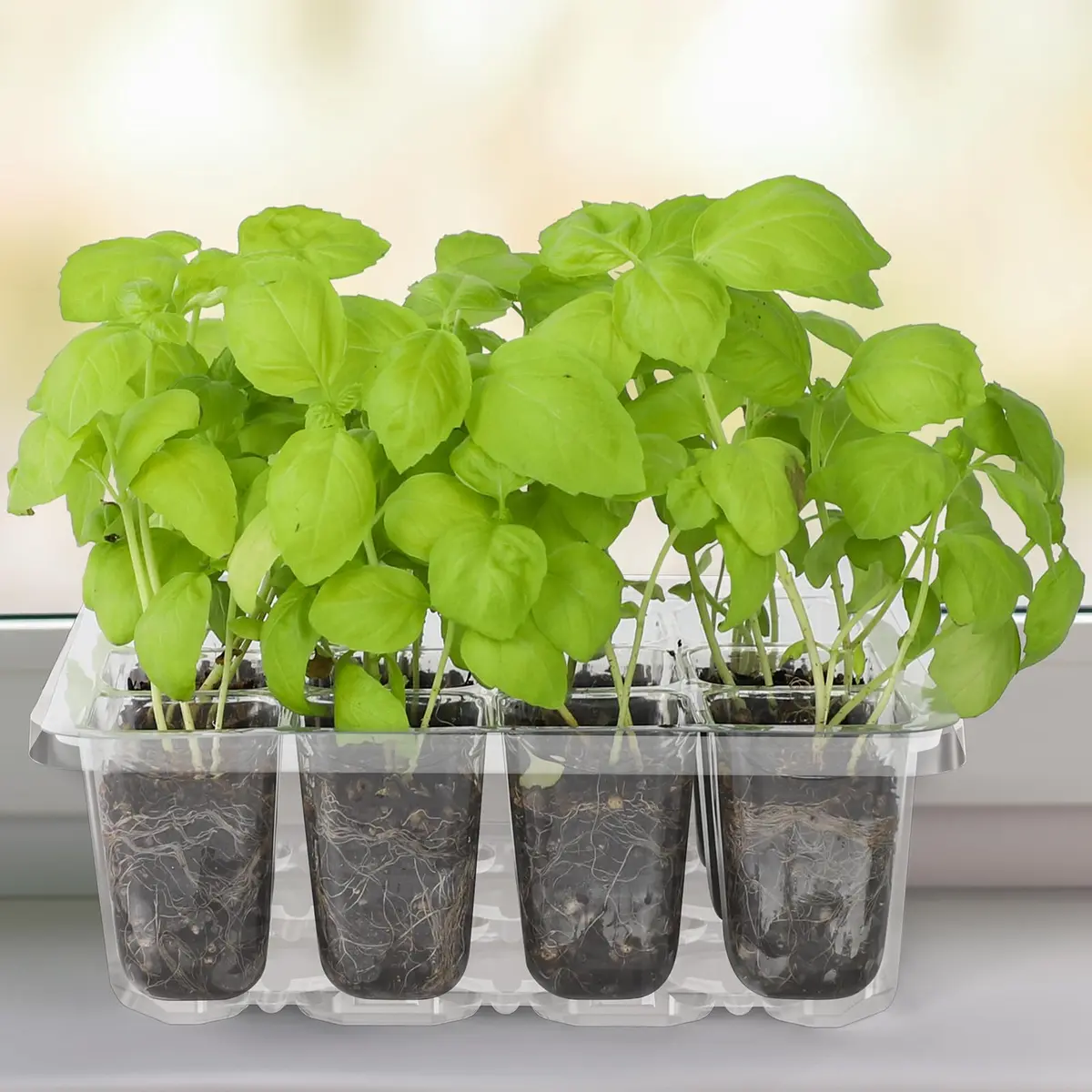MIXC 10 Pack Seed Starter Tray Kit with Humidity Dome & 120 Cells | Reusable Seedling Propagation Trays with Drainage & Adjustable Vent - view 7