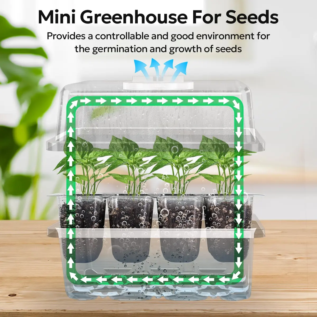MIXC 10 Pack Seed Starter Tray Kit with Humidity Dome & 120 Cells | Reusable Seedling Propagation Trays with Drainage & Adjustable Vent - view 4