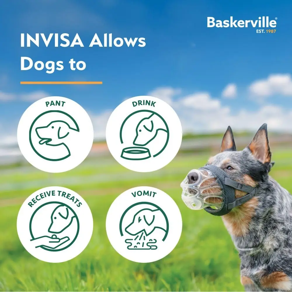 Baskerville INVISA Basket Dog Muzzle Size 1 | Transparent, Comfortable & Safe for Small Dogs - view 8
