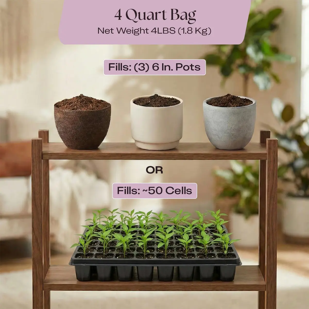 Rosy Soil Seedling Soil Mix 4 Quarts | Organic, Peat-Free, Supports Root Growth - view 6