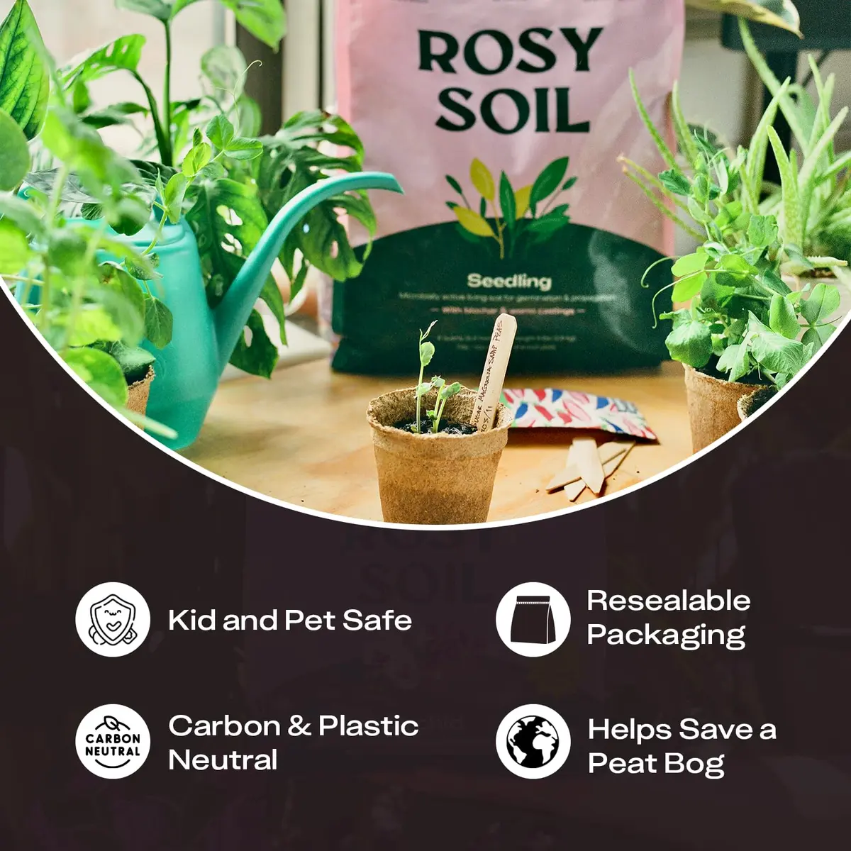 Rosy Soil Seedling Soil Mix 4 Quarts | Organic, Peat-Free, Supports Root Growth - view 7