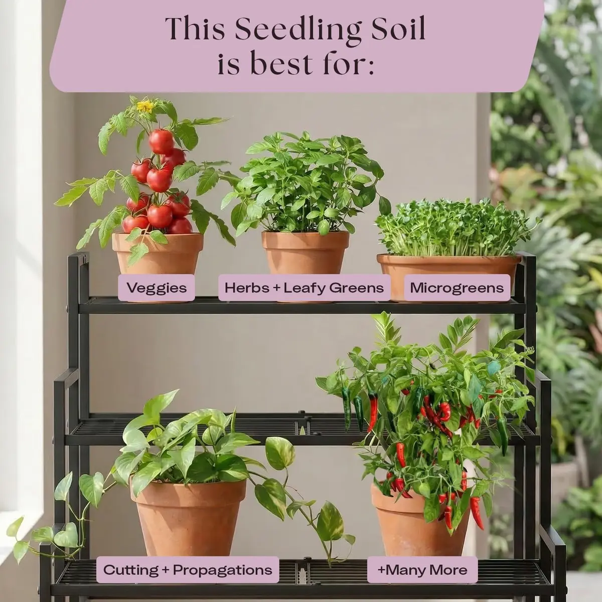 Rosy Soil Seedling Soil Mix 4 Quarts | Organic, Peat-Free, Supports Root Growth - view 8