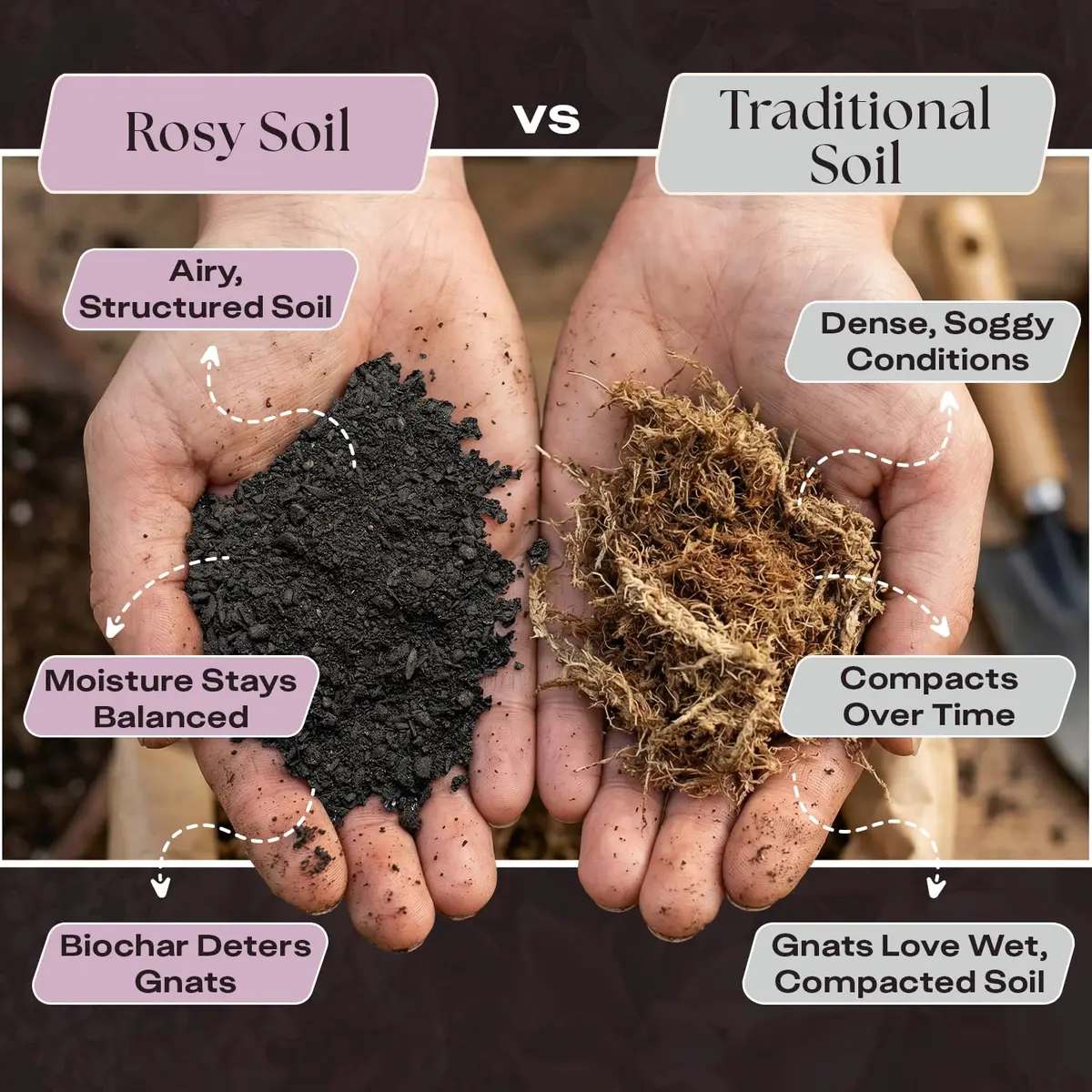 Rosy Soil Seedling Soil Mix 4 Quarts | Organic, Peat-Free, Supports Root Growth - view 3