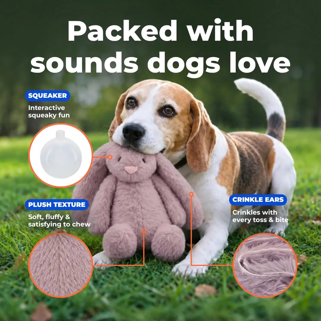 Best Pet Supplies Bunny Buddy Squeaky Plush Dog Toy - Mauve, Small | Stimulating, Durable & Enriching for Small & Medium Breeds - view 5