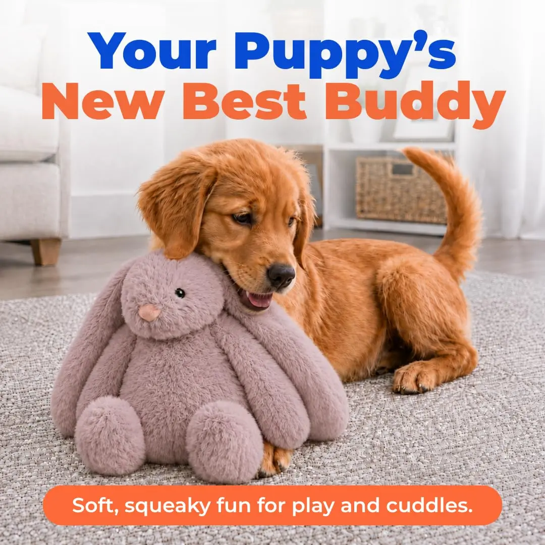 Best Pet Supplies Bunny Buddy Squeaky Plush Dog Toy - Mauve, Small | Stimulating, Durable & Enriching for Small & Medium Breeds - view 2