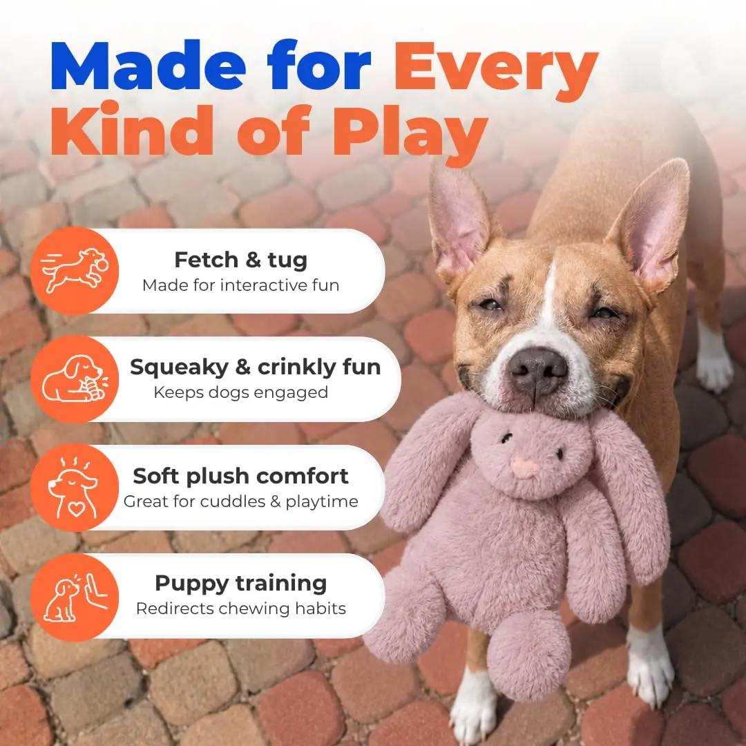 Best Pet Supplies Bunny Buddy Squeaky Plush Dog Toy - Mauve, Small | Stimulating, Durable & Enriching for Small & Medium Breeds - view 3
