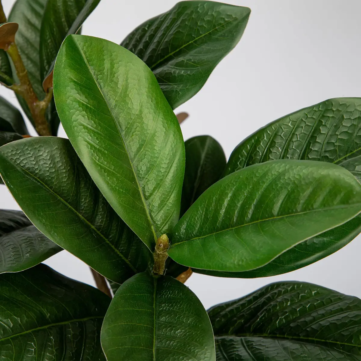 Briful Artificial Magnolia Leaves Stems 3PCS 74cm | Lifelike Greenery for Elegant Decor - view 3