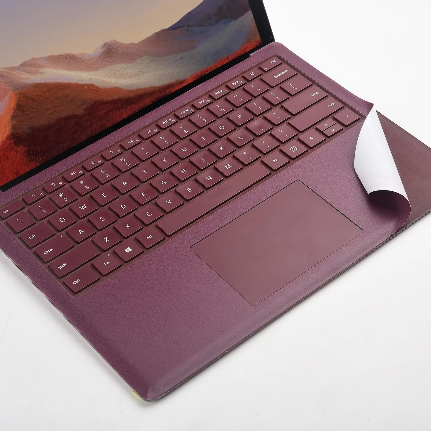 Electronic Device Skin