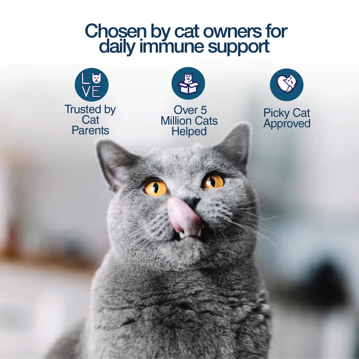 Felisyl L-Lysine Gel for Cats & Kittens 5oz | Immune & Respiratory Support - view 9