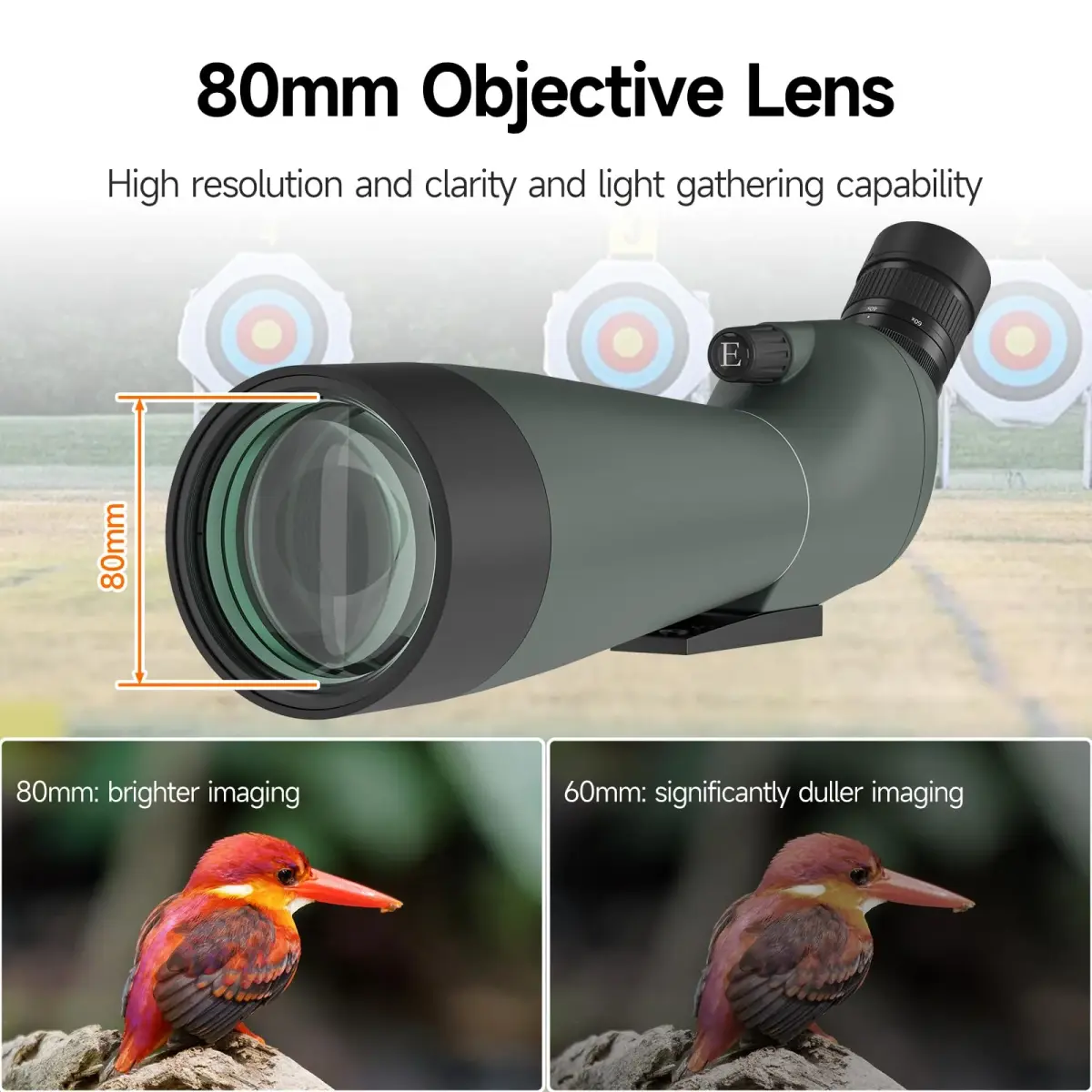 SVBONY SV28 Spotting Scope 20-60x80mm | FMC Coating, Long Range, with Phone Adapter & Tripod - view 3