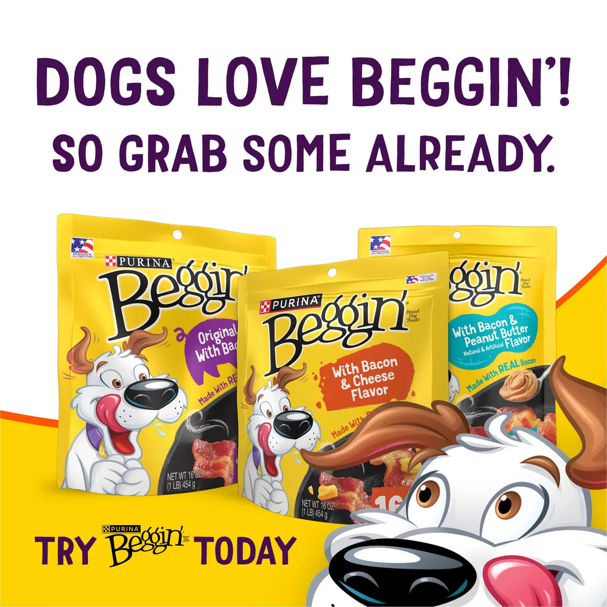 Purina Beggin’ Flavor Stix Treats for Dogs 40 oz. Bacon & Cheddar Jack | Real Meat & No Artificial Flavors - view 9