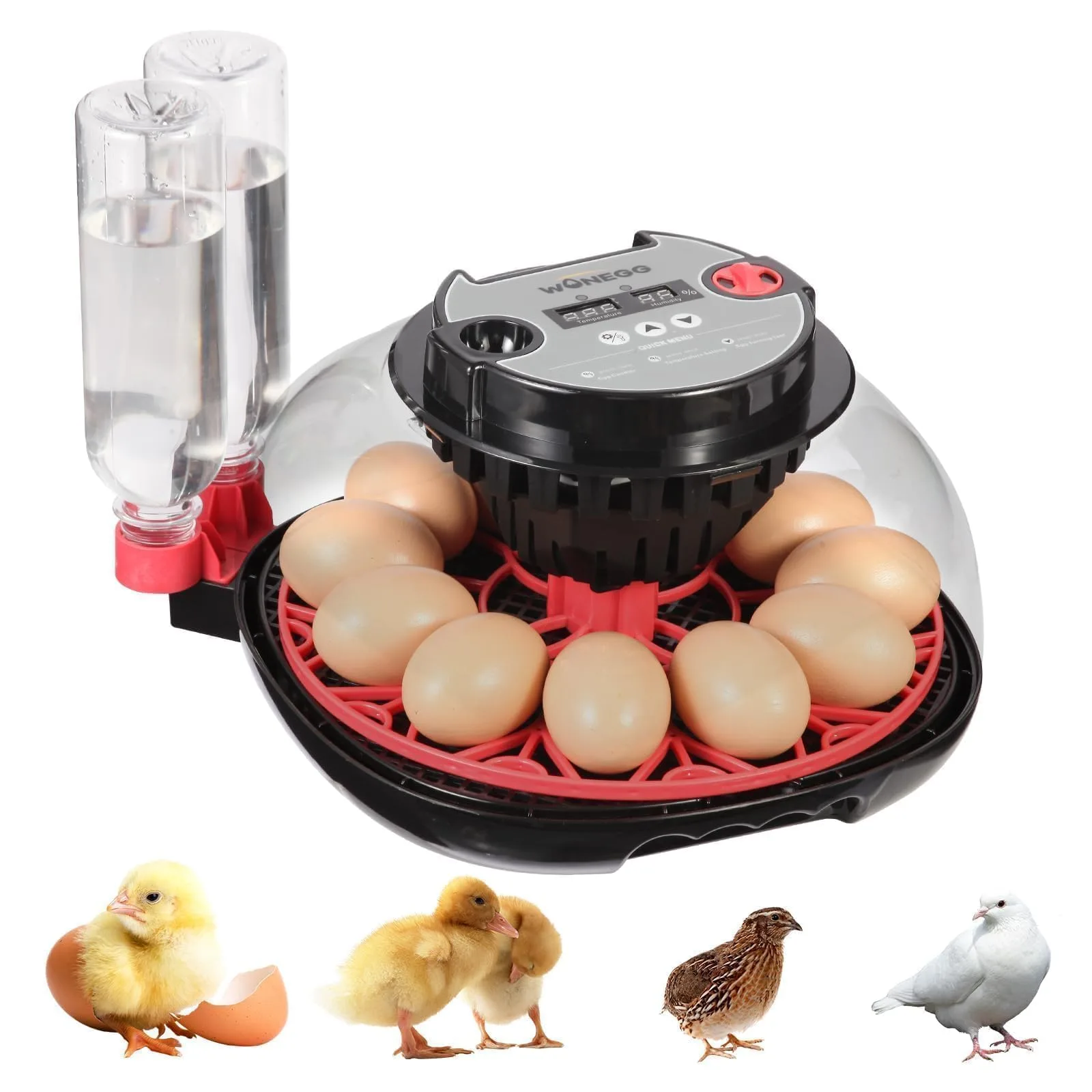 Incubator