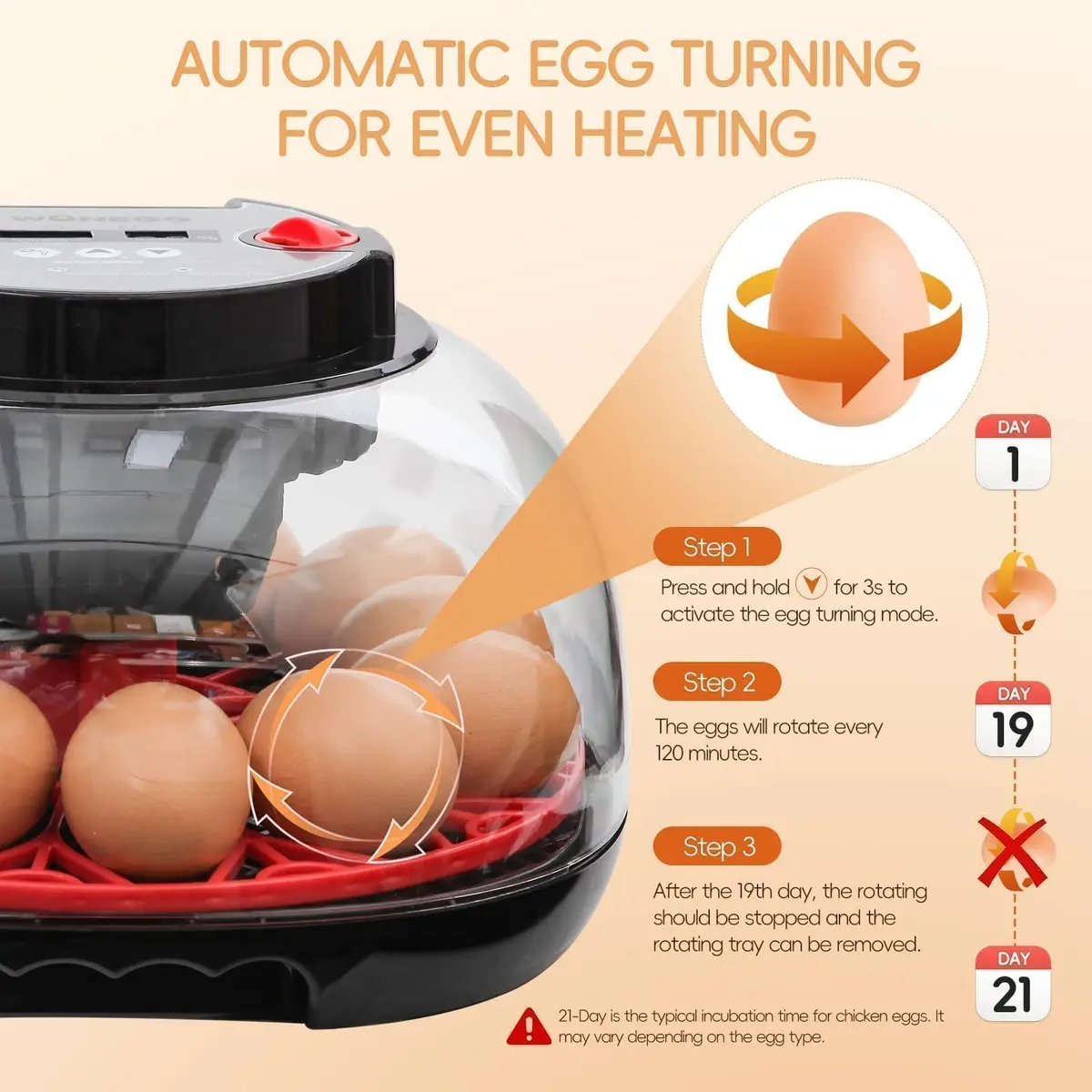 ZEMIRO CHARGE Series II Incubator 12 Egg | Auto Humidity & Temp Control, Beginner Friendly - view 3